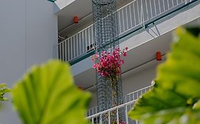 Oasis Inn